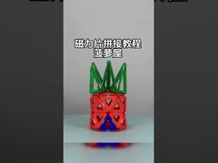 প্রাণী ও উদ্ভিদের জন্য বহুমুখী আকৃতির চৌম্বকীয় টাইল সমাবেশ আনারস হাউস