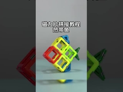 প্রাণী ও উদ্ভিদের জন্য বহুমুখী আকারের চৌম্বকীয় টাইলস সমাবেশ